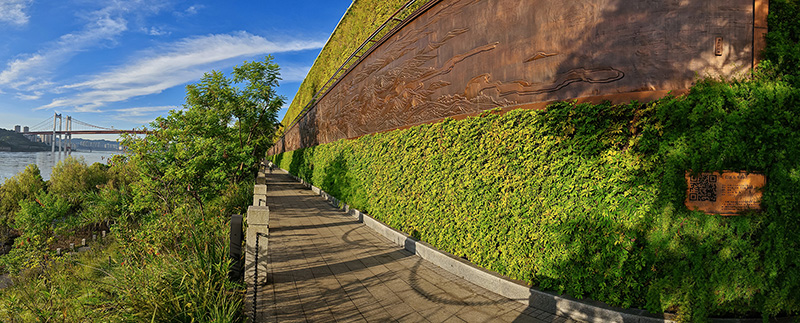 小 生态长江万里图  李文勇摄.jpg